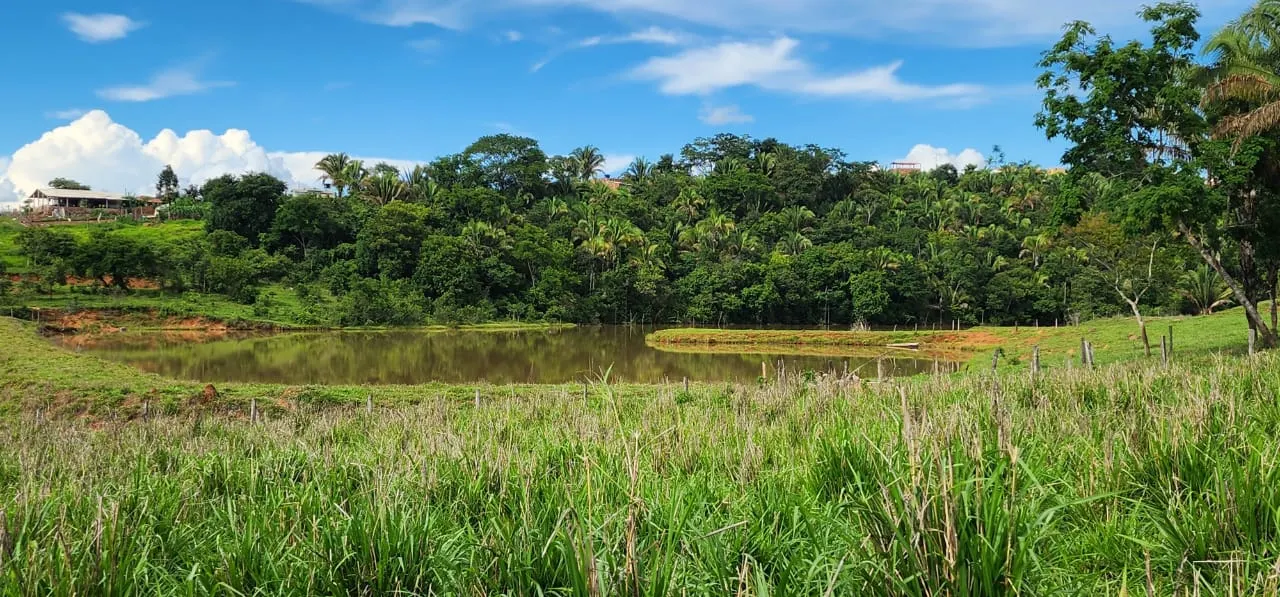 Sítio à venda de 10 ha em Cocalzinho de Goiás, GO, Brasil