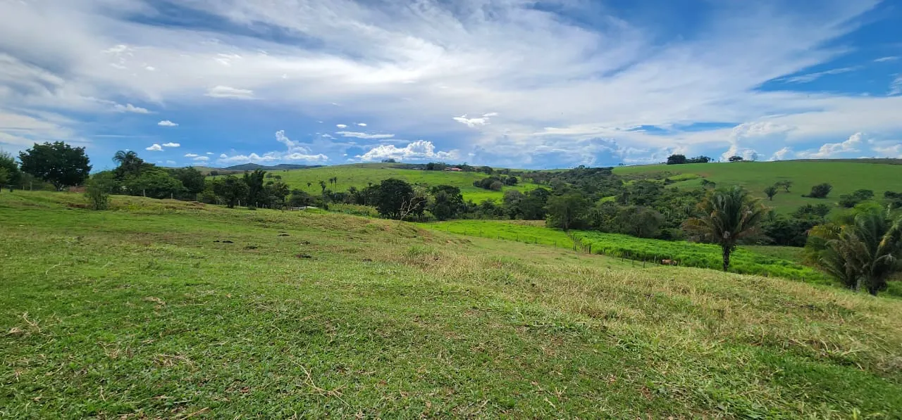 Sítio à venda de 10 ha em Cocalzinho de Goiás, GO, Brasil