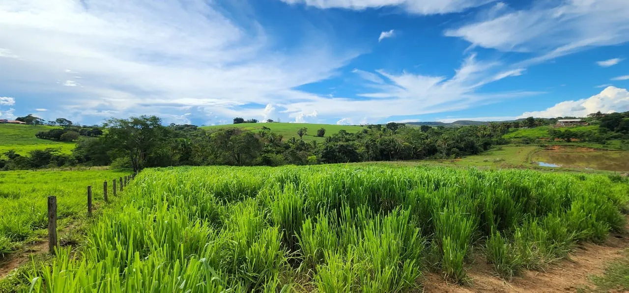 Sítio à venda de 10 ha em Cocalzinho de Goiás, GO, Brasil