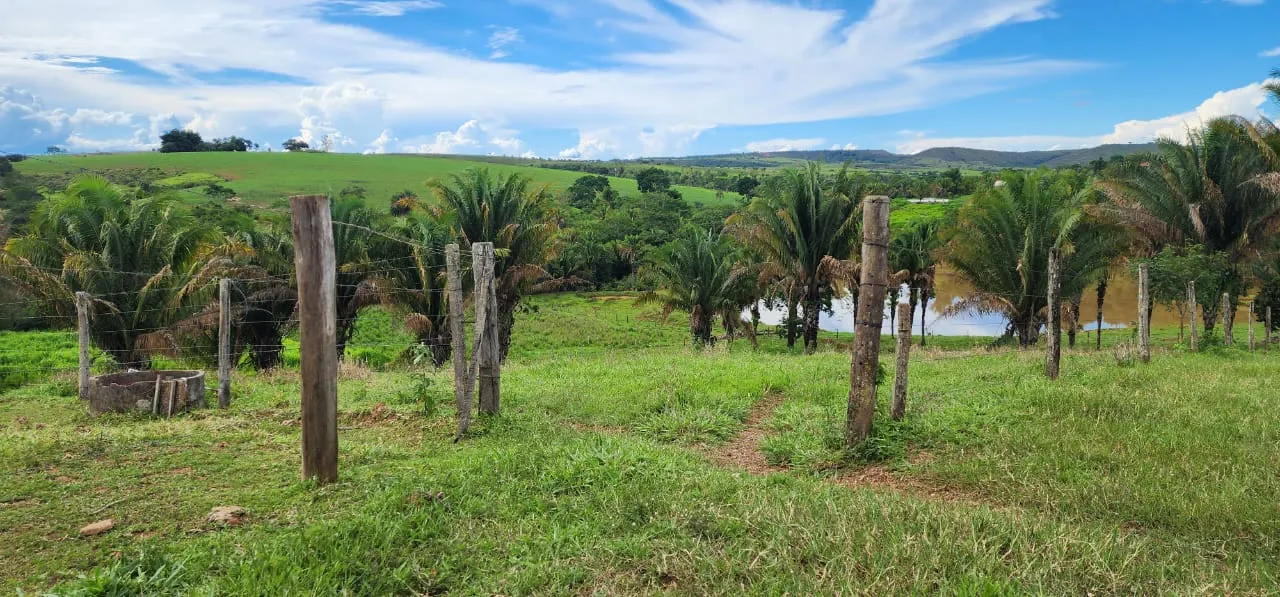 Sítio à venda de 10 ha em Cocalzinho de Goiás, GO, Brasil