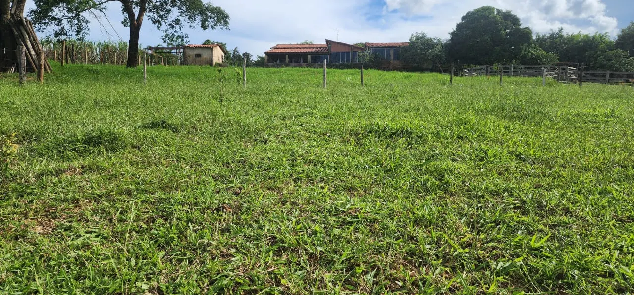 Sítio à venda de 10 ha em Cocalzinho de Goiás, GO, Brasil
