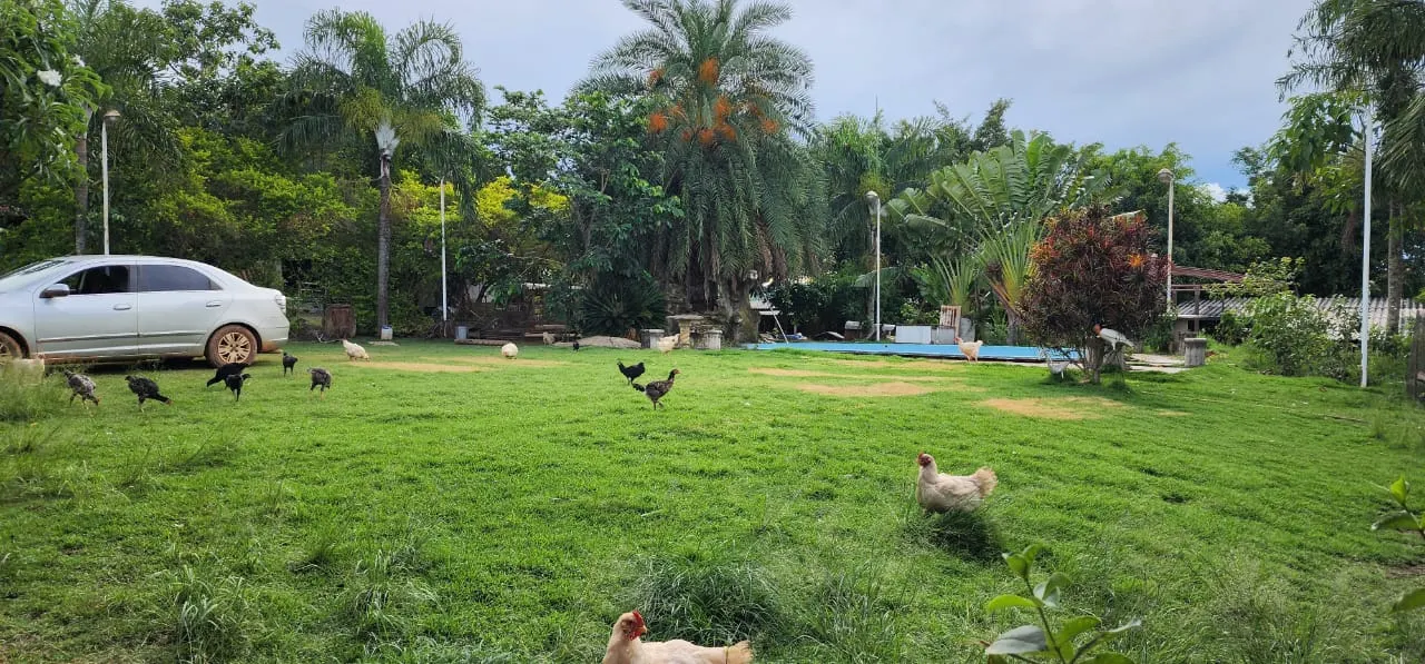 Sítio à venda de 10 ha em Cocalzinho de Goiás, GO, Brasil