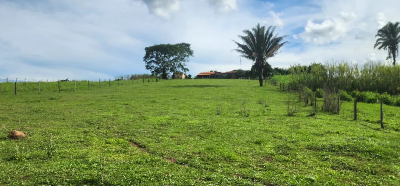 Sítio à venda de 10 ha em Cocalzinho de Goiás, GO, Brasil