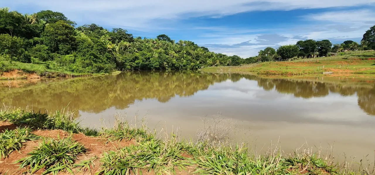 Sítio à venda de 10 ha em Cocalzinho de Goiás, GO, Brasil