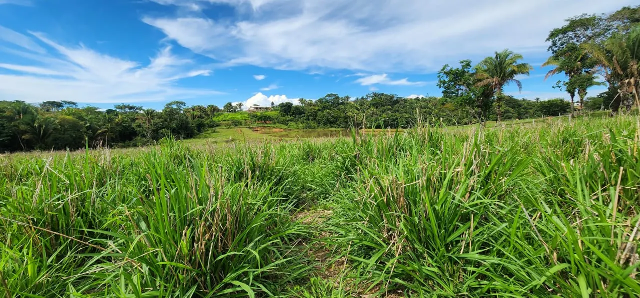 Sítio à venda de 10 ha em Cocalzinho de Goiás, GO, Brasil