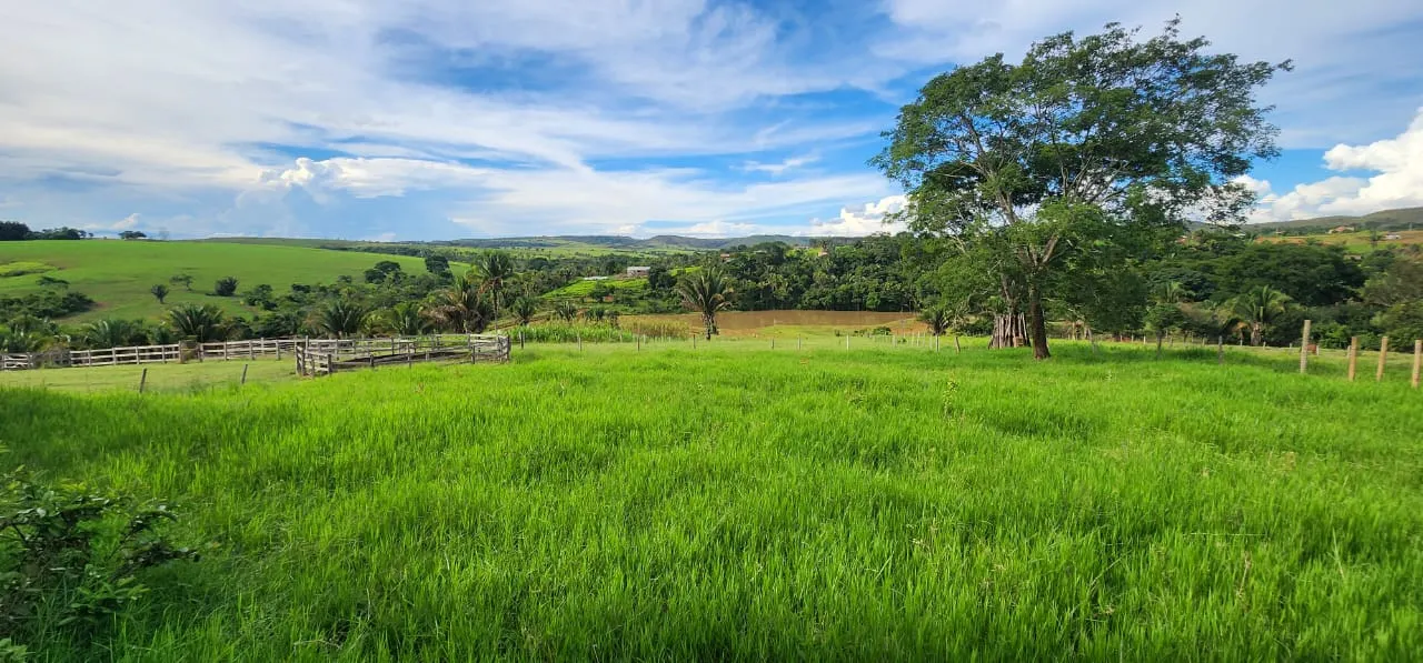 Sítio à venda de 10 ha em Cocalzinho de Goiás, GO, Brasil