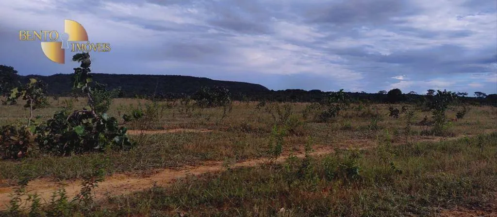 Fazenda à venda de 5.000 ha em Paranatinga, MT, Brasil