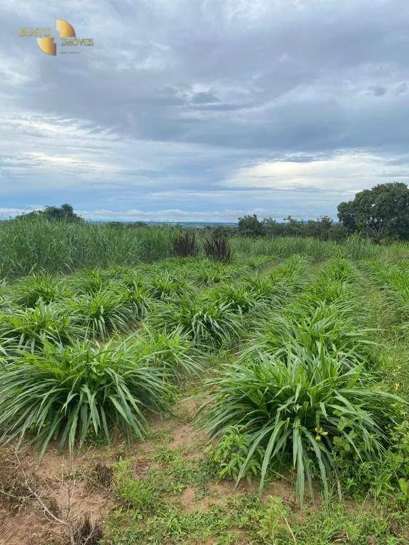 Fazenda à venda de 5.000 ha em Paranatinga, MT, Brasil