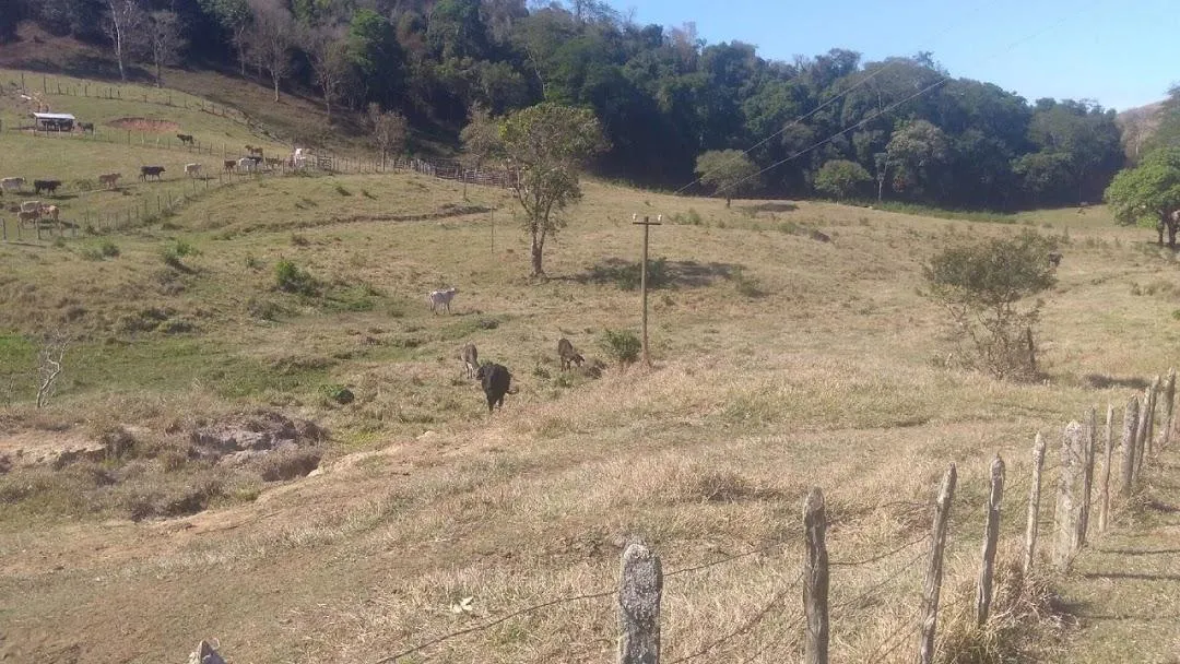 Fazenda à venda de 100 ha em Cunha, SP, Brasil
