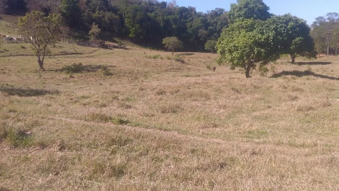 Fazenda à venda de 100 ha em Cunha, SP, Brasil