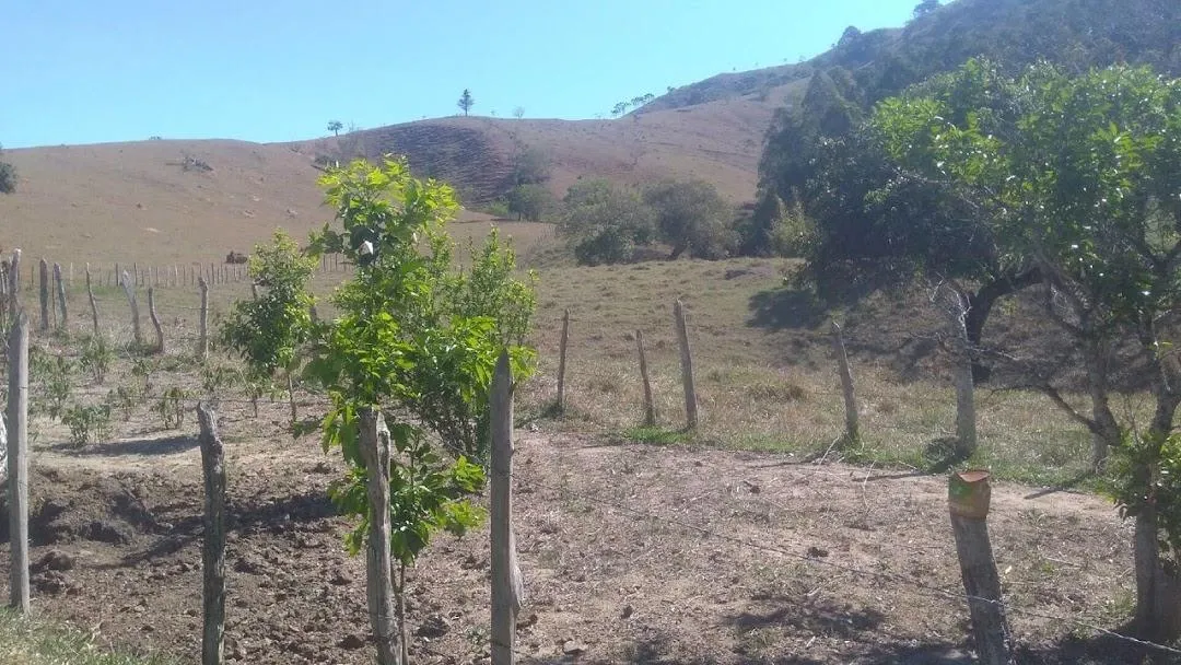 Fazenda à venda de 100 ha em Cunha, SP, Brasil