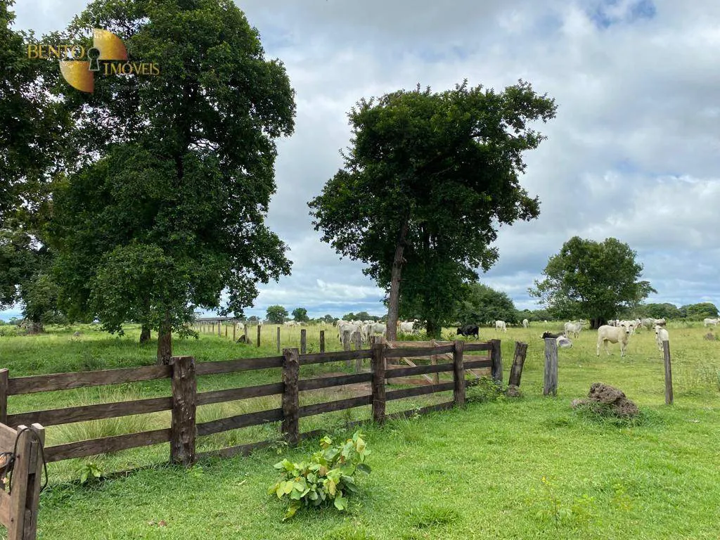 Fazenda à venda e para Arrendar de 20.000 ha em Cocalinho, MT, Brasil