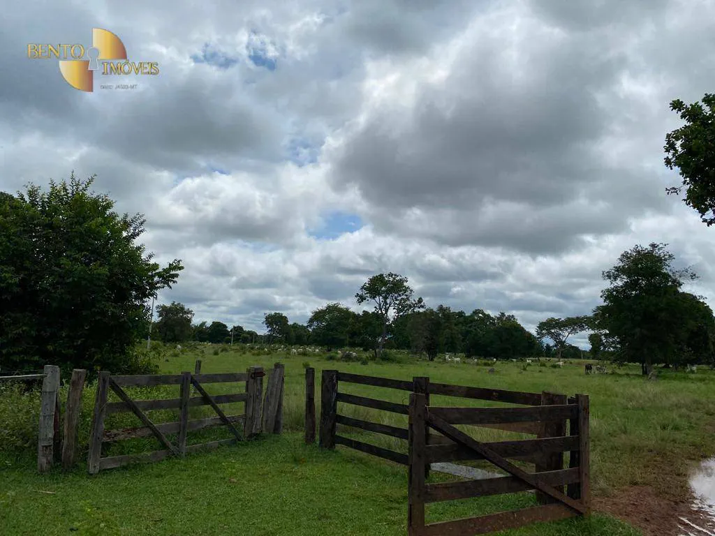 Farm for sale and to rent of 49,421 acres in Cocalinho, MT, Brazil