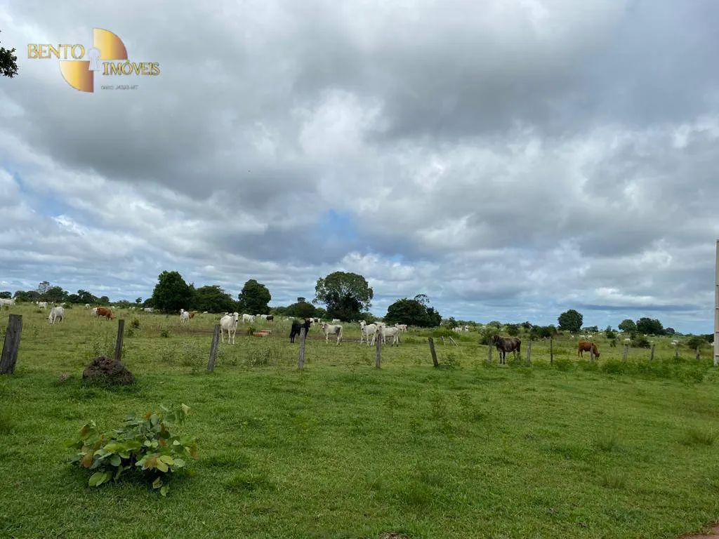 Farm for sale and to rent of 49,421 acres in Cocalinho, MT, Brazil