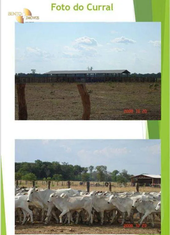 Farm for sale and to rent of 49,421 acres in Cocalinho, MT, Brazil