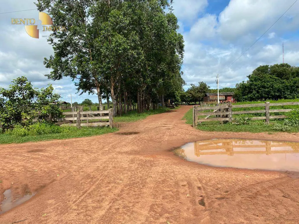 Farm for sale and to rent of 49,421 acres in Cocalinho, MT, Brazil