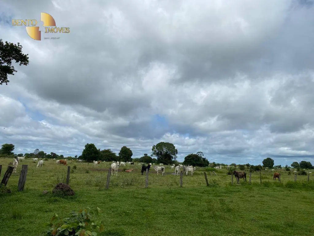Farm for sale and to rent of 49,421 acres in Cocalinho, MT, Brazil