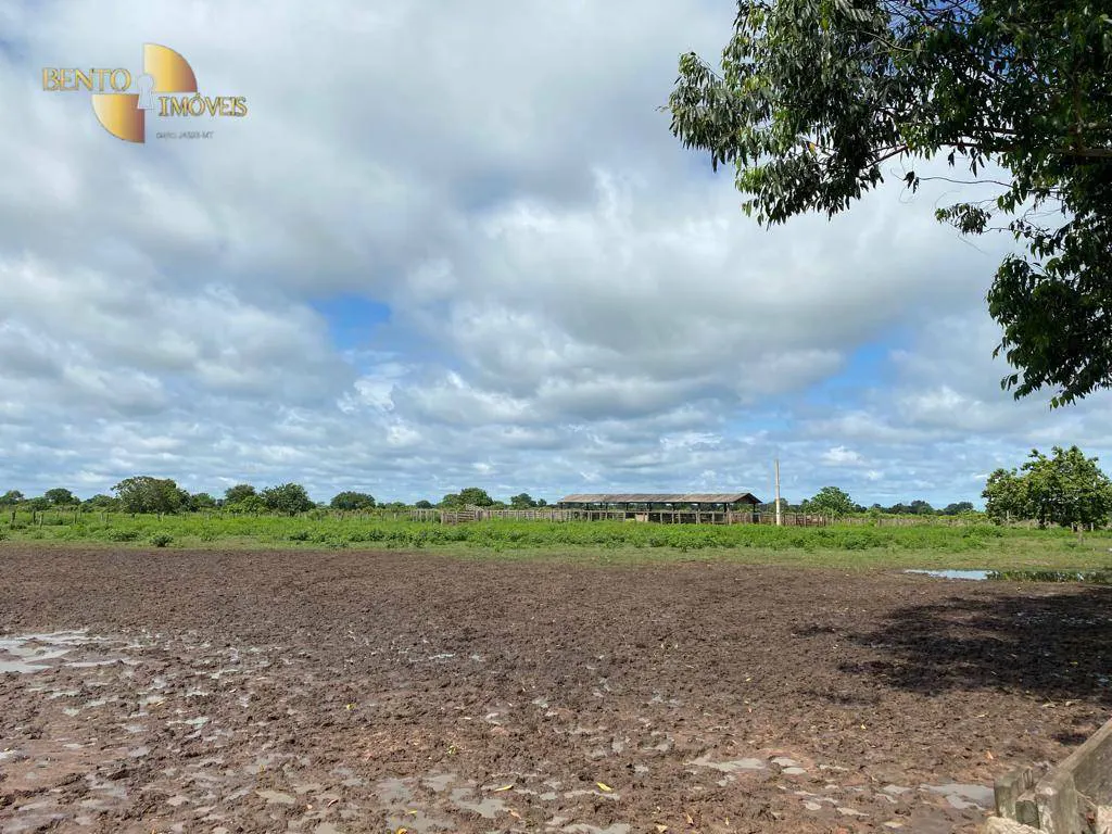 Farm for sale and to rent of 49,421 acres in Cocalinho, MT, Brazil