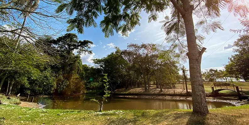 Terreno à venda de 400 m² em Artur Nogueira, SP, Brasil
