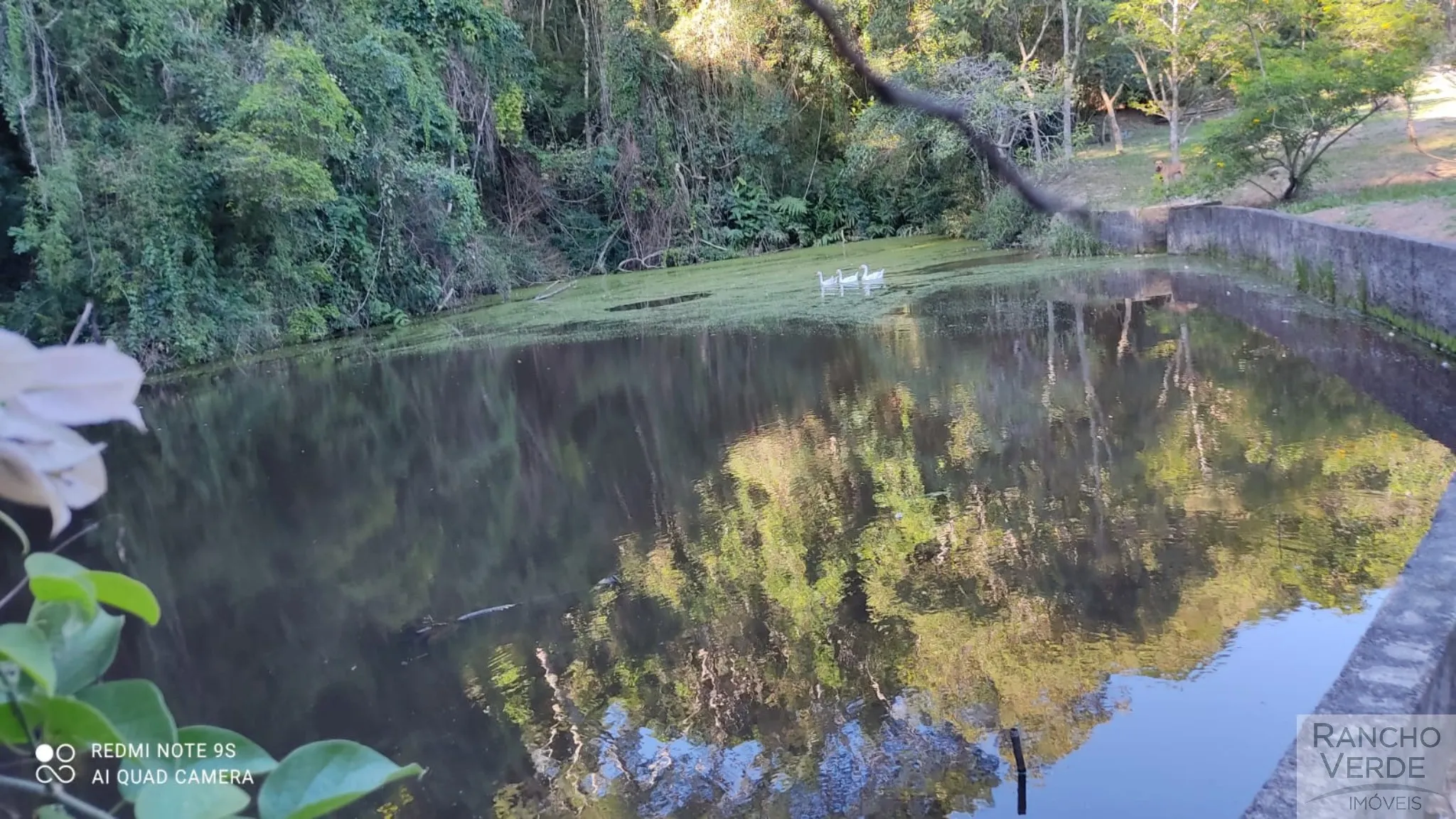 Sítio à venda de 6 ha em Jambeiro, SP, Brasil