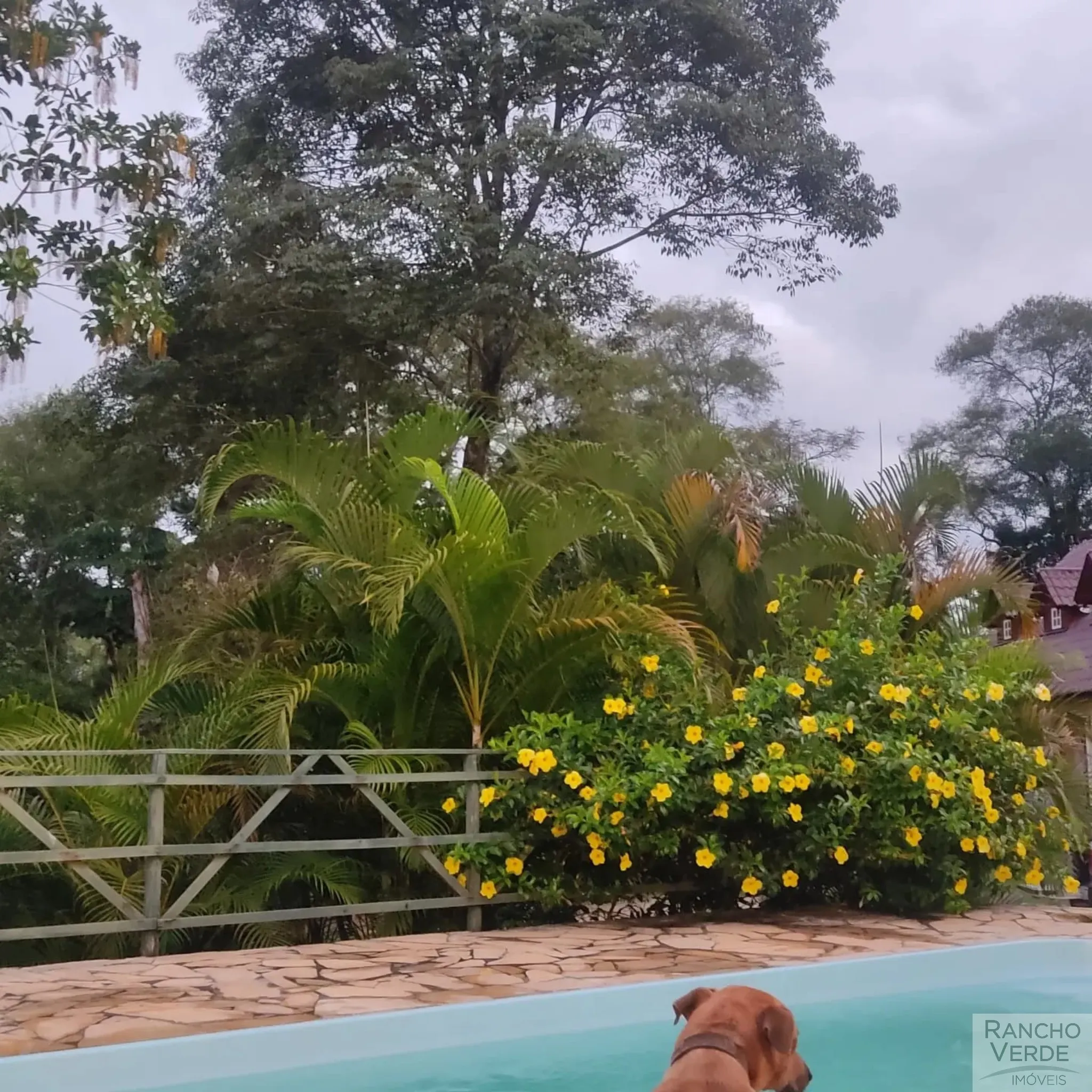 Sítio à venda de 6 ha em Jambeiro, SP, Brasil