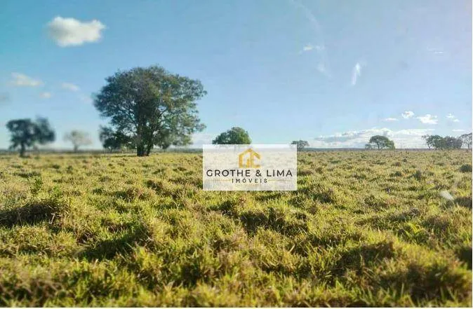 Fazenda à venda de 707 ha em Palmas, TO, Brasil