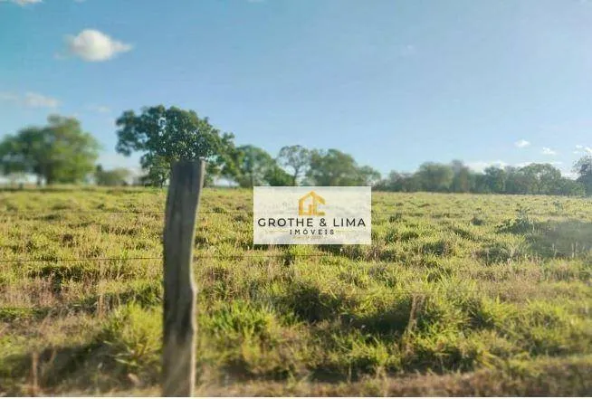 Fazenda à venda de 707 ha em Palmas, TO, Brasil
