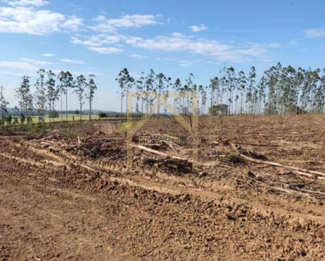 Fazenda à venda de 469 ha em Quadra, SP, Brasil
