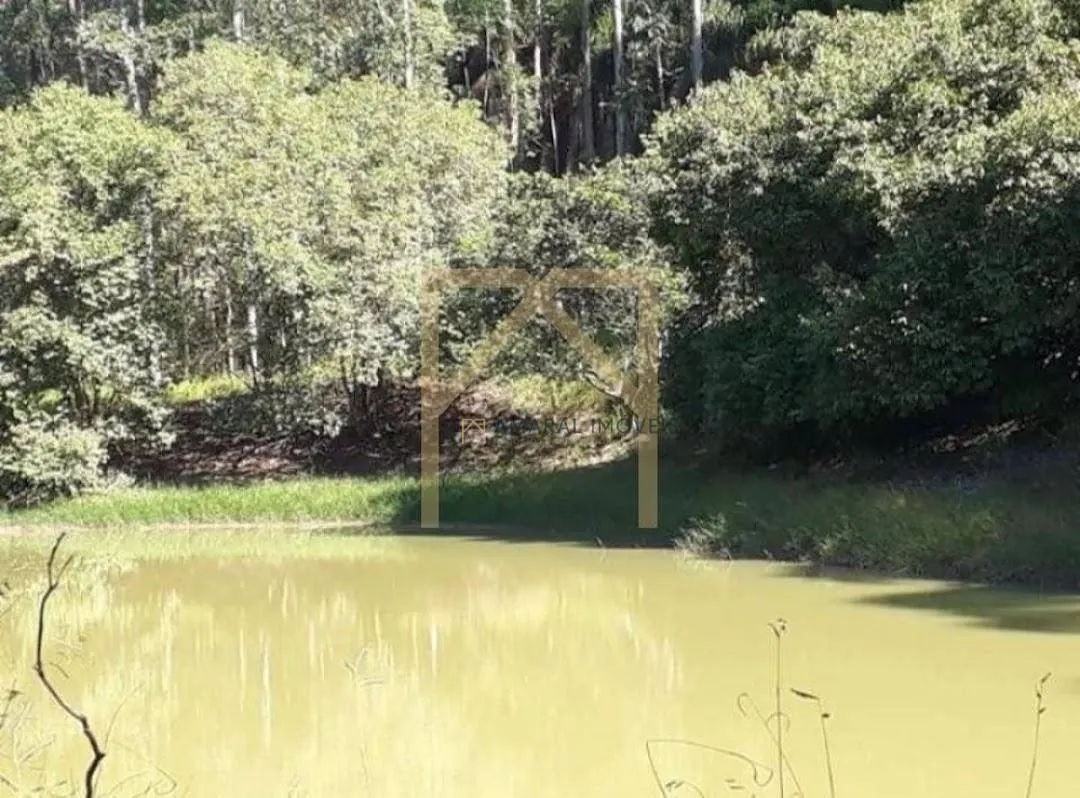 Fazenda à venda de 469 ha em Quadra, SP, Brasil