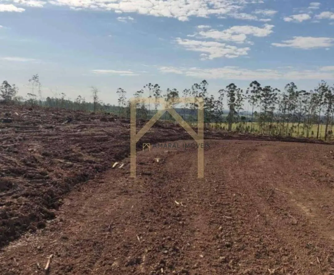 Fazenda à venda de 469 ha em Quadra, SP, Brasil
