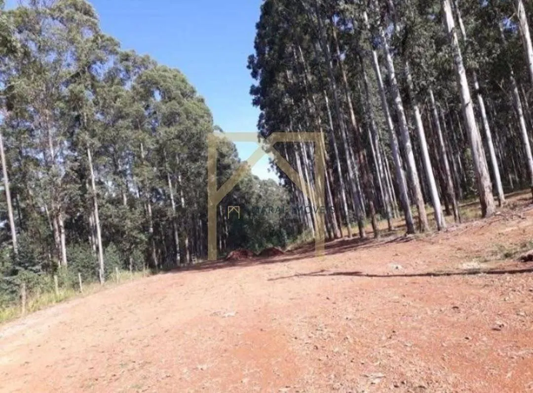 Fazenda à venda de 469 ha em Quadra, SP, Brasil
