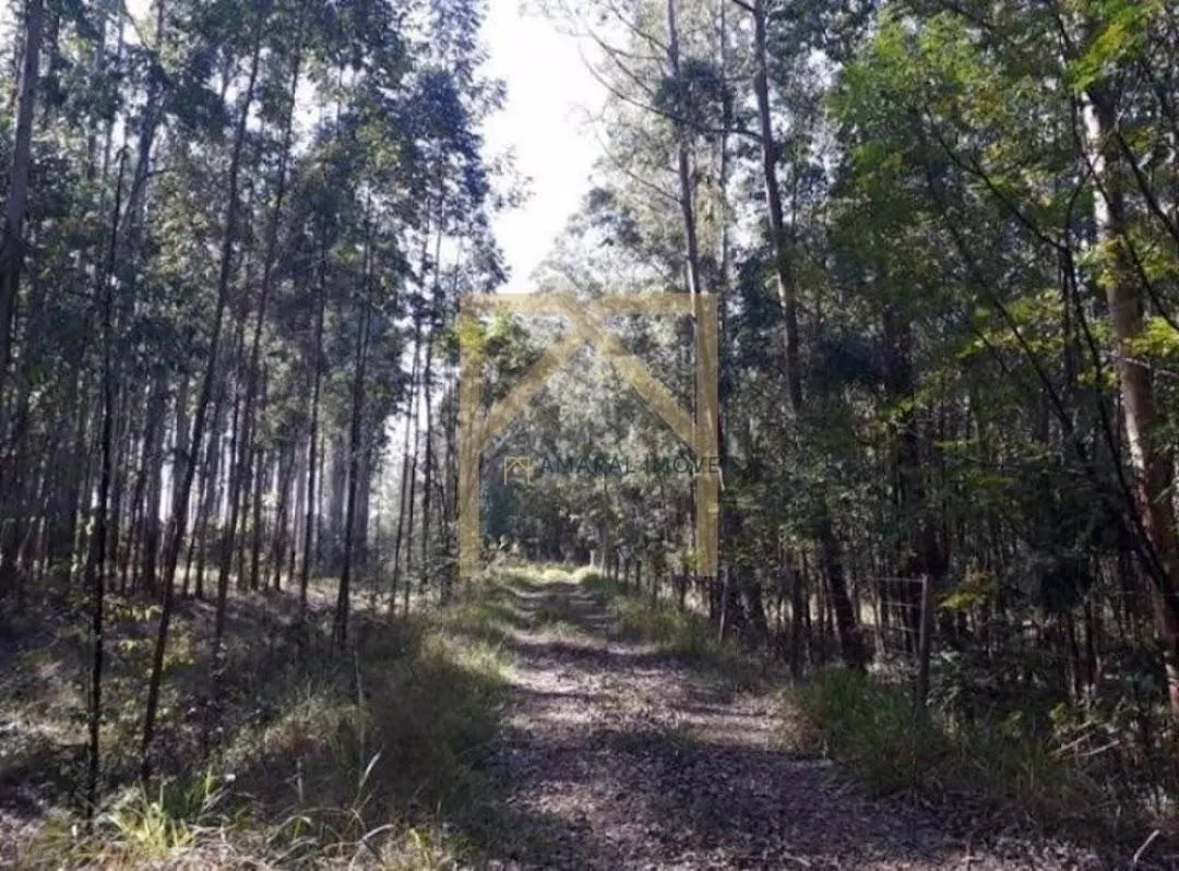 Fazenda à venda de 469 ha em Quadra, SP, Brasil