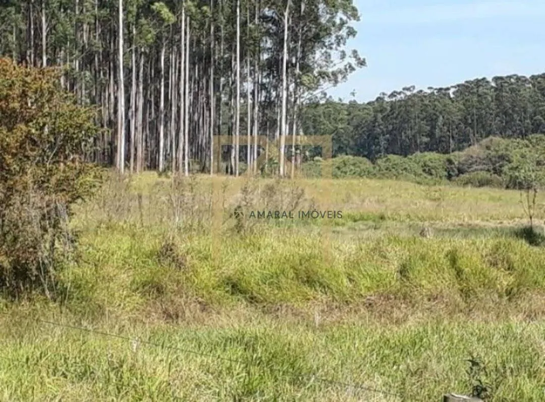 Fazenda à venda de 469 ha em Quadra, SP, Brasil