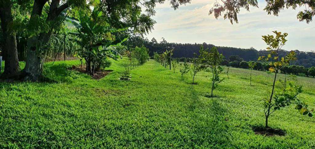 Small farm for sale of 10 acres in Campinas, SP, Brazil