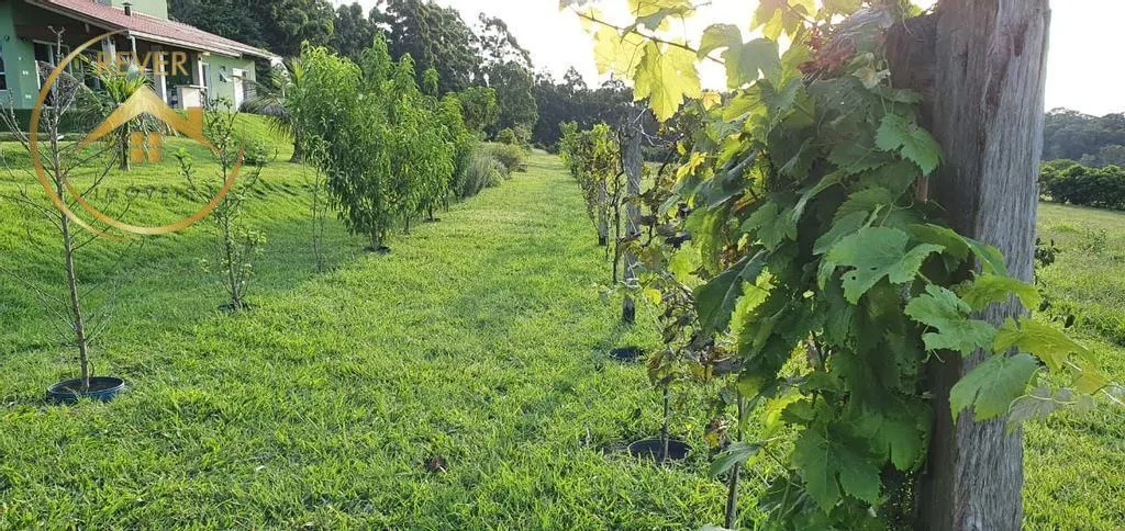 Small farm for sale of 10 acres in Campinas, SP, Brazil