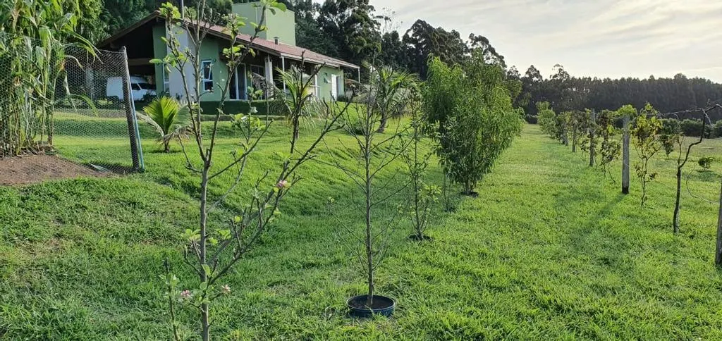 Small farm for sale of 10 acres in Campinas, SP, Brazil