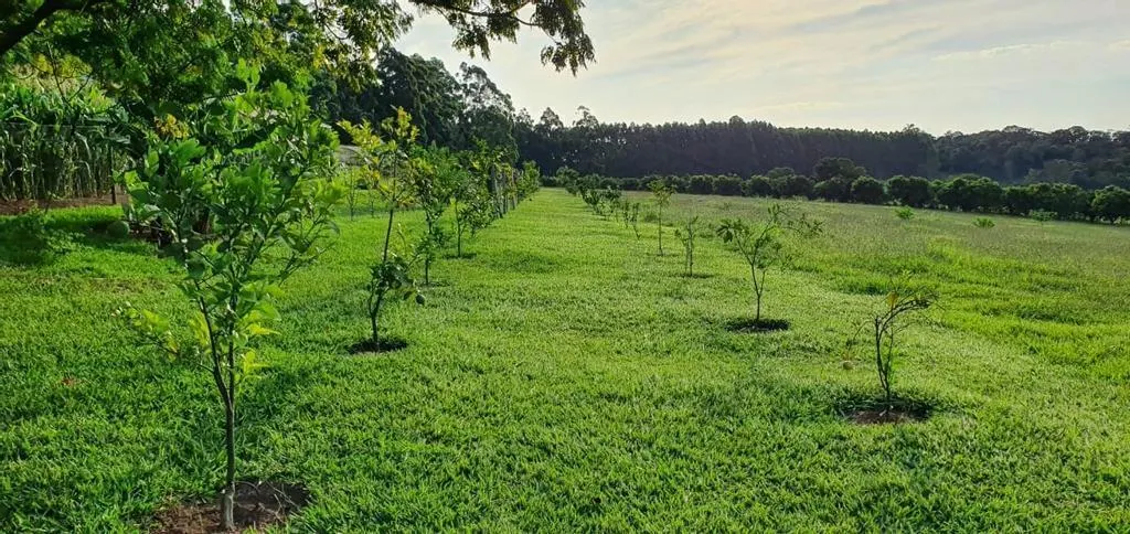 Small farm for sale of 10 acres in Campinas, SP, Brazil