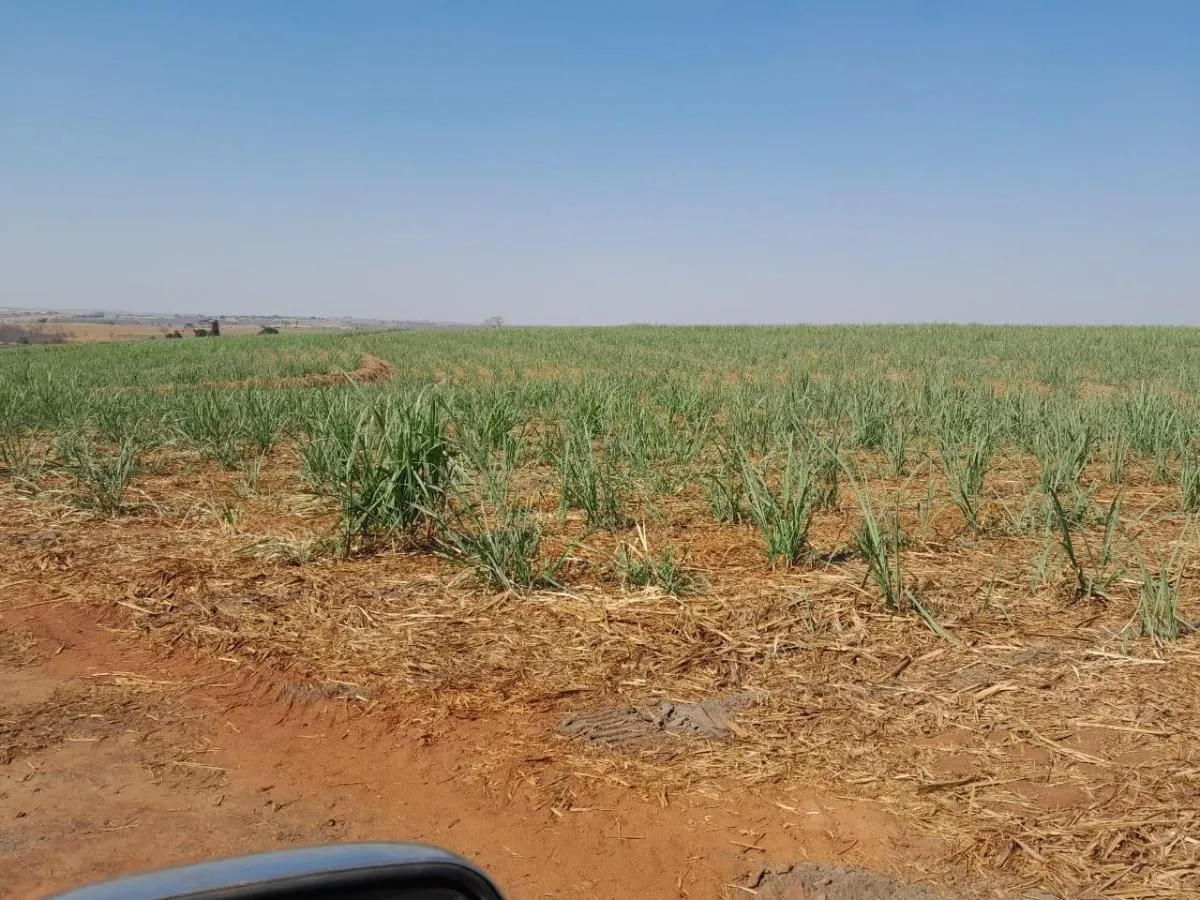 Sítio à venda de 40 ha em Jales, SP, Brasil