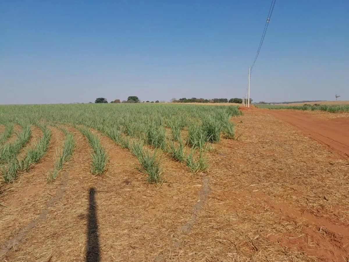Small farm for sale of 99 acres in Jales, SP, Brazil