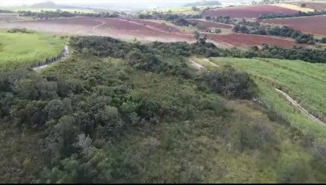 Fazenda à venda de 215 ha em Ribeirão Preto, SP, Brasil