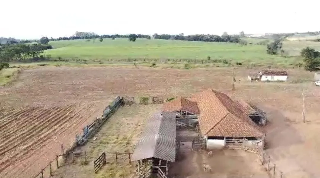 Fazenda à venda de 215 ha em Ribeirão Preto, SP, Brasil