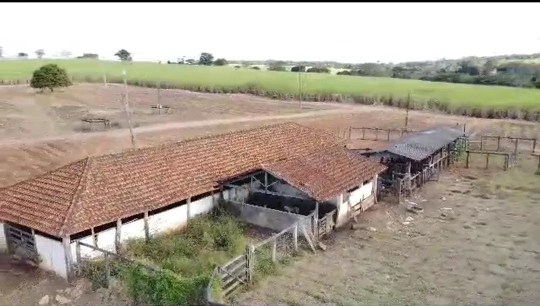 Fazenda à venda de 215 ha em Ribeirão Preto, SP, Brasil