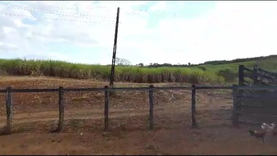 Fazenda à venda de 215 ha em Ribeirão Preto, SP, Brasil