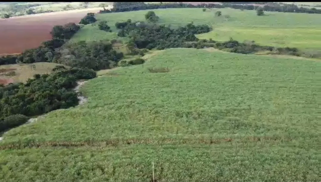 Fazenda à venda de 215 ha em Ribeirão Preto, SP, Brasil