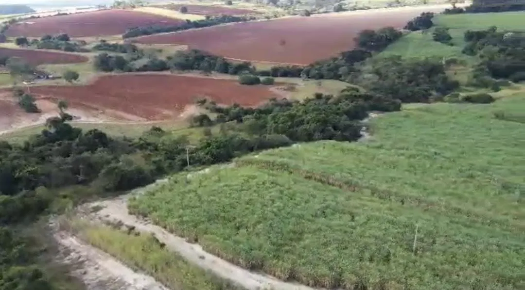 Fazenda à venda de 215 ha em Ribeirão Preto, SP, Brasil