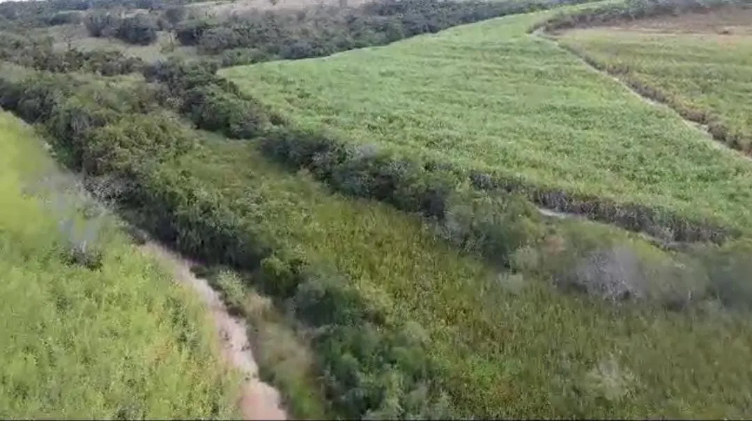 Fazenda à venda de 215 ha em Ribeirão Preto, SP, Brasil