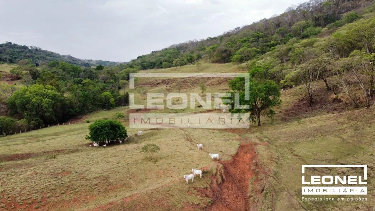 Fazenda à venda de 181 ha em Batatais, SP, Brasil