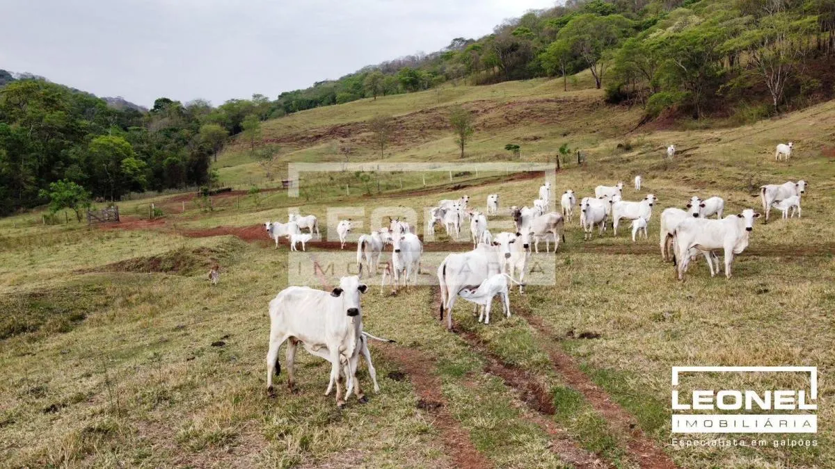 Fazenda à venda de 181 ha em Batatais, SP, Brasil