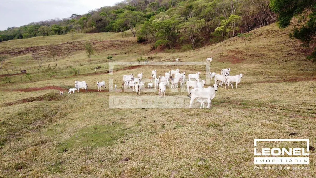 Fazenda à venda de 181 ha em Batatais, SP, Brasil