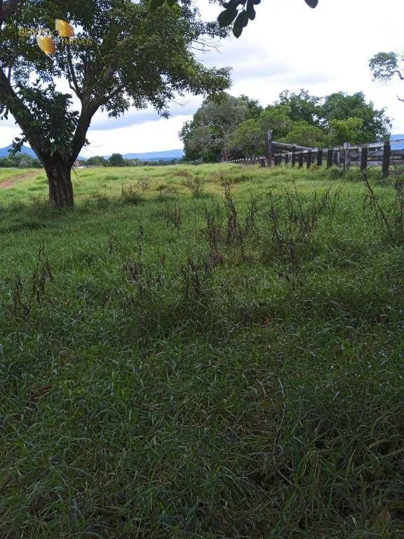 Fazenda à venda de 1.800 ha em Cáceres, MT, Brasil